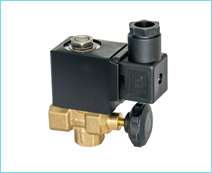 Steam Solenoid Valve For Iron