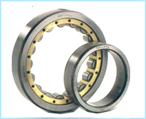 Single Row Cylindrical Roller Bearing