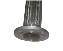 Stainless Steel Bellow Hoses With Flange