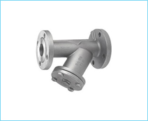 Y Strainer Flange End
