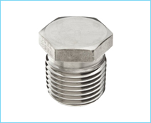 SS Plug Hex