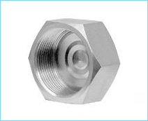SS Nut Cap